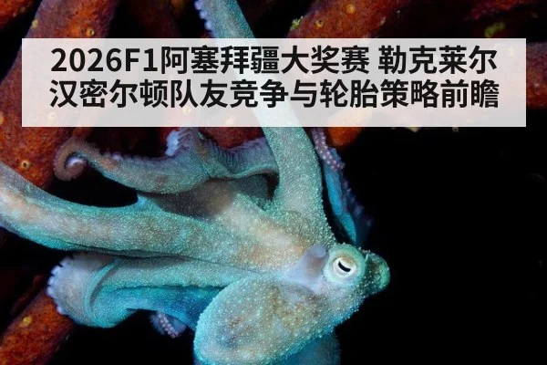 2026F1阿塞拜疆大奖赛 勒克莱尔汉密尔顿队友竞争与轮胎策略前瞻